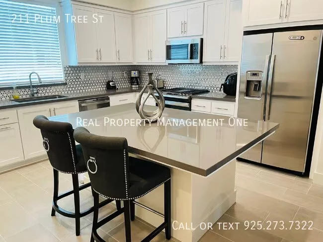 211 Plum Tree St Livermore, CA 94551 photo 3