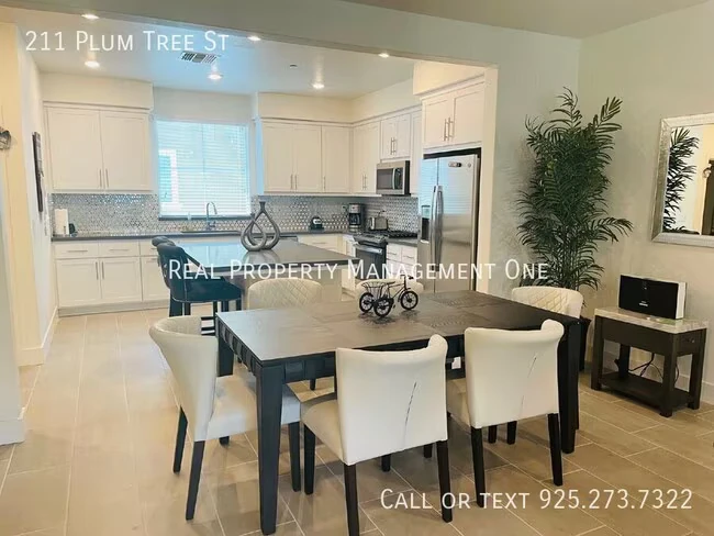 211 Plum Tree St Livermore, CA 94551 photo 4