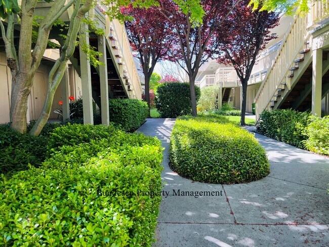 720 Petaluma Blvd S Petaluma, CA 94952 photo 2