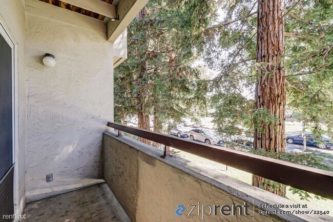 3173 Wayside Plaza, Walnut Creek, CA 94597 photo 3