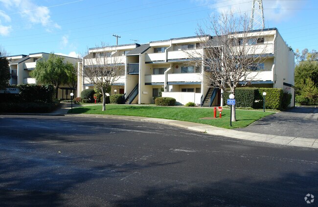Alamo Park photo 3