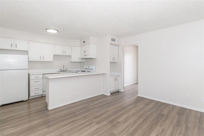6010 N Lamar Blvd Austin, TX 78752 photo 4