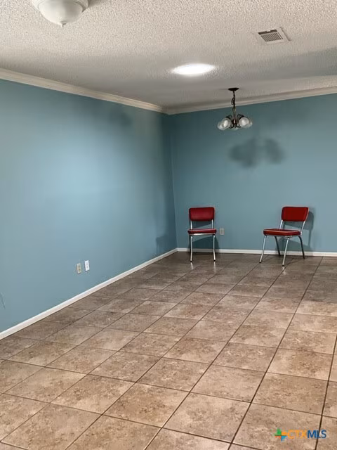 1302 S Mesquite Ave New Braunfels, TX 78130 photo 4