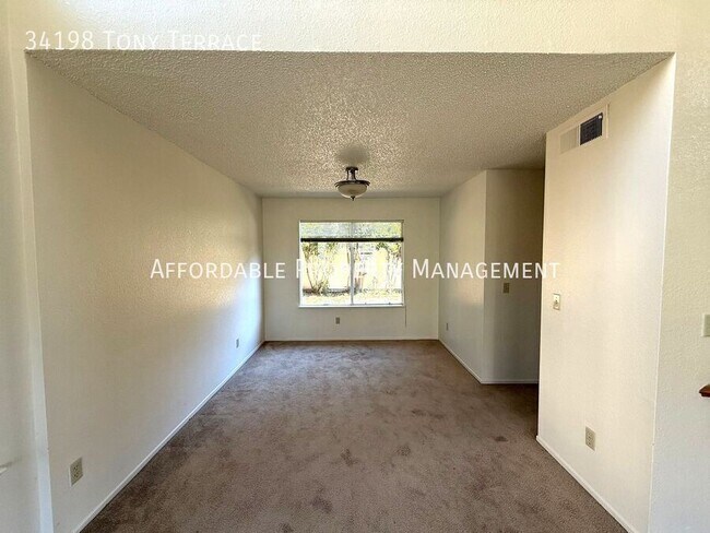 34198 Tony Terrace Fremont, CA 94555 photo 5