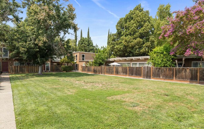 1919 Ygnacio Valley Rd Walnut Creek, CA 94598 photo 3