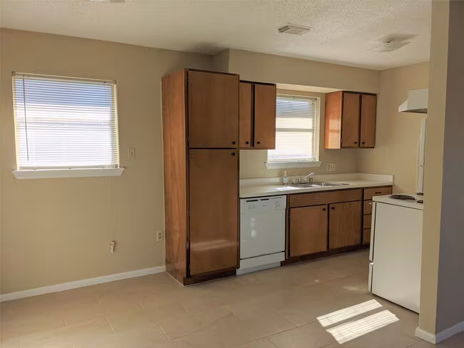915 Alexander Street, Houston, TX 77008 photo 3