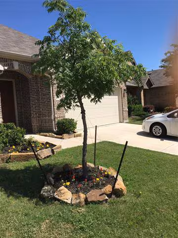 620 Calliopsis St Little Elm, TX 75068 photo 3