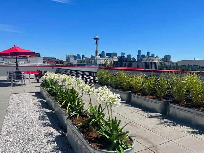 Queen Anne Flats photo 2