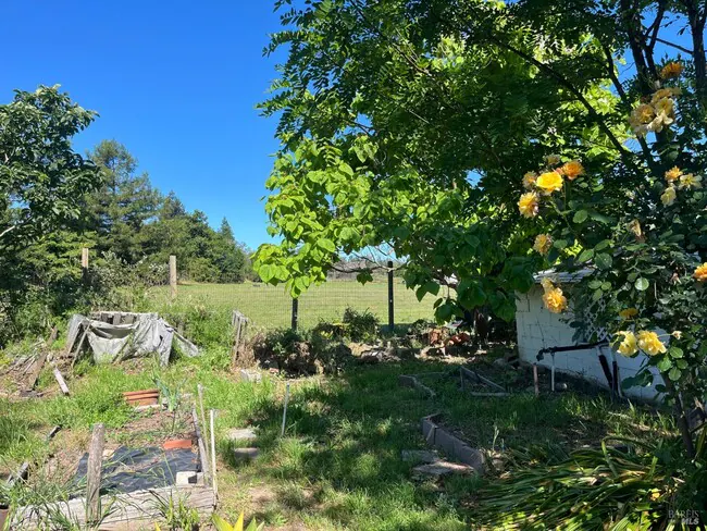 20 Eucalyptus Rd Petaluma, CA 94952 photo 5