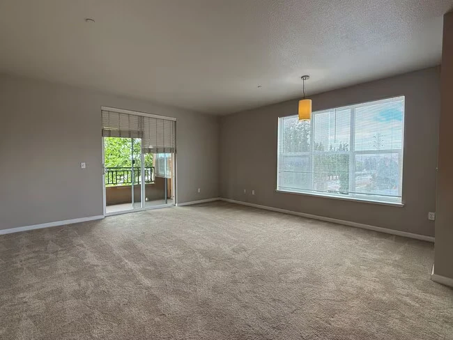 1445 Fruitdale Ave San Jose, CA 95128 photo 3