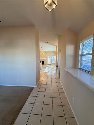 1505 Lacewing Dr McKinney, TX 75072 photo 3