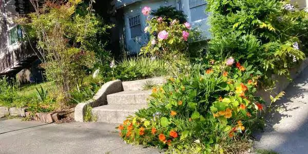 2531 Benvenue Ave Berkeley, CA 94704 photo 2