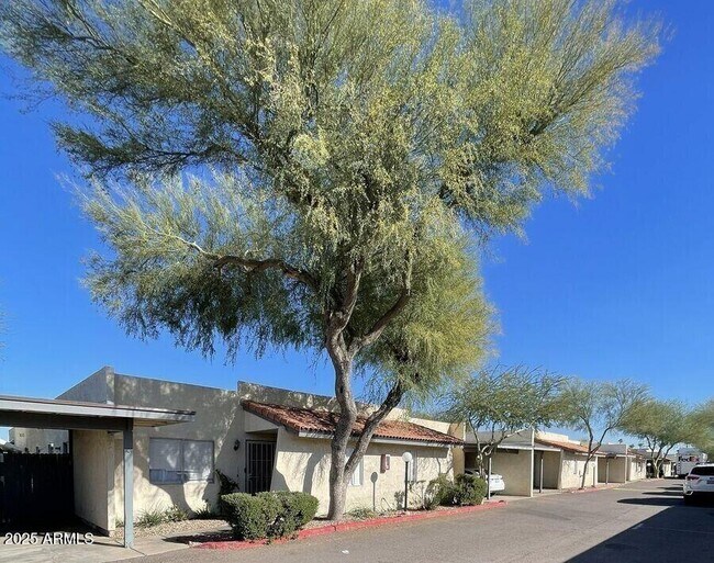 6541 N 67th Ave Glendale, AZ 85301 photo 2