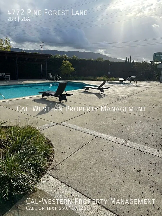 4772 Pine Forest Lane, San Jose, CA 95118 photo 3