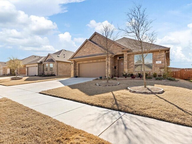144 Wagon Mound, Waxahachie, TX 75167 photo 2