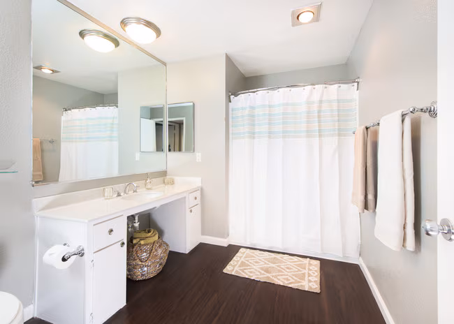 The Colonnade Apartments photo 5
