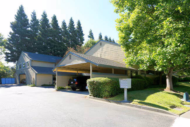 Park Place Apartments photo 5