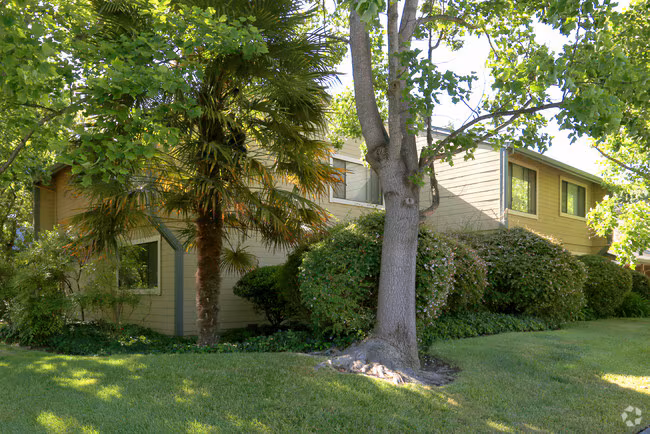 Park Place Apartments photo 3