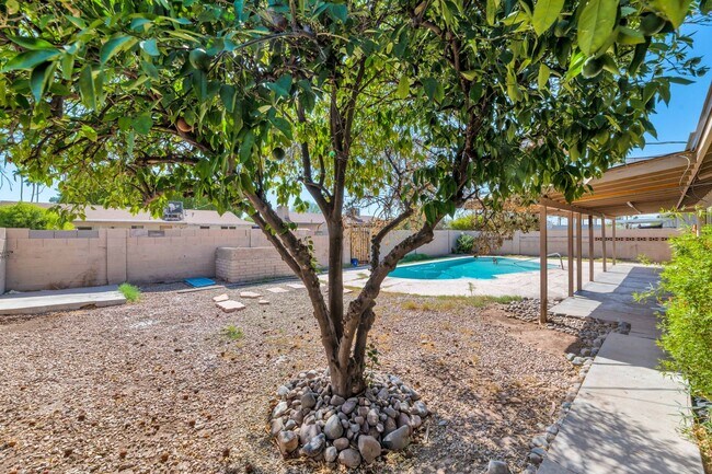 3315 S Ventura Dr Tempe, AZ 85282 photo 2