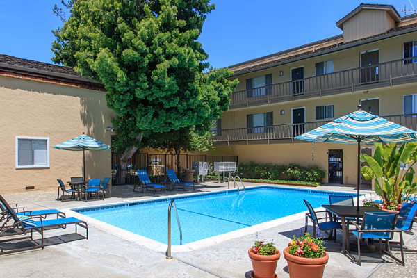 Tamarack Apartment Homes photo 4