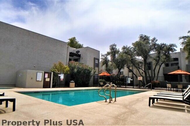 8020 E Thomas Rd Scottsdale, AZ 85251 photo 4