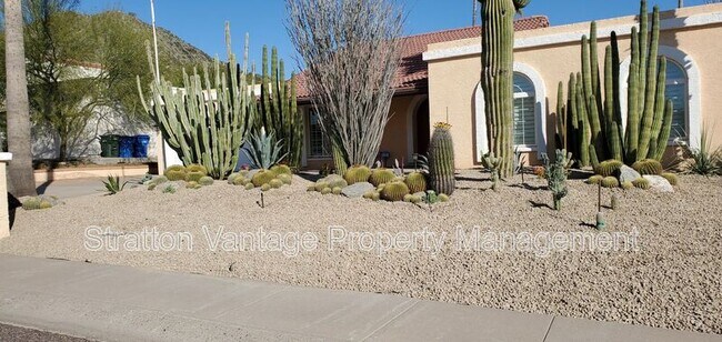 13015 N 23rd St photo 3
