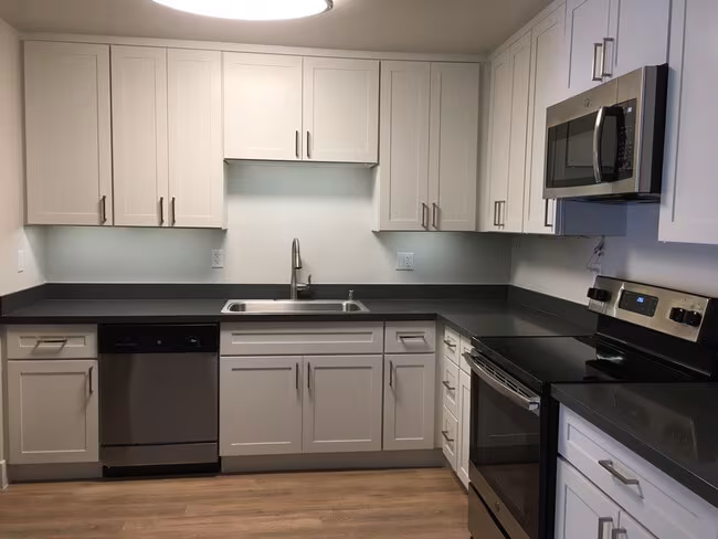 100 Boyd Apartments photo 5