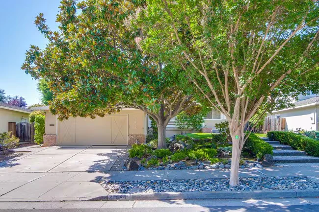 21940 Rucker Dr Cupertino, CA 95014 photo 2