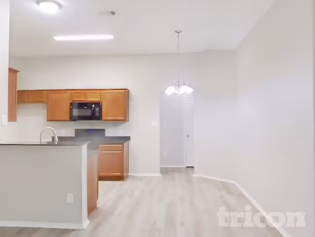 1602 Canary Island Court, Dallas, TX 75217 photo 4