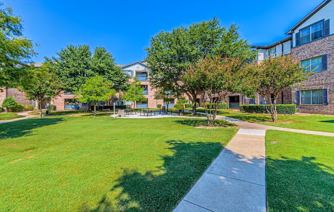 The Cesera 55+ Apartments photo 3