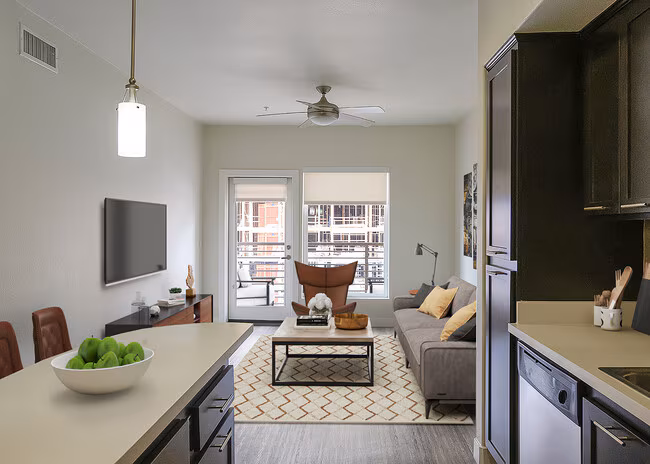 Urbana Rental Flats photo 2