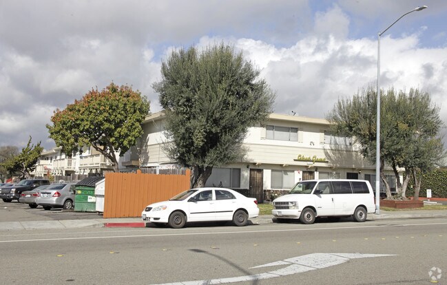 Olive Grove Apartments photo 3