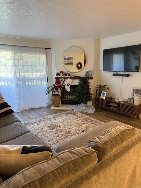 7704 Caminito Tingo Carlsbad, CA 92009 photo 4