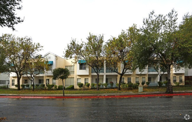 186 Avenida Espana photo 3