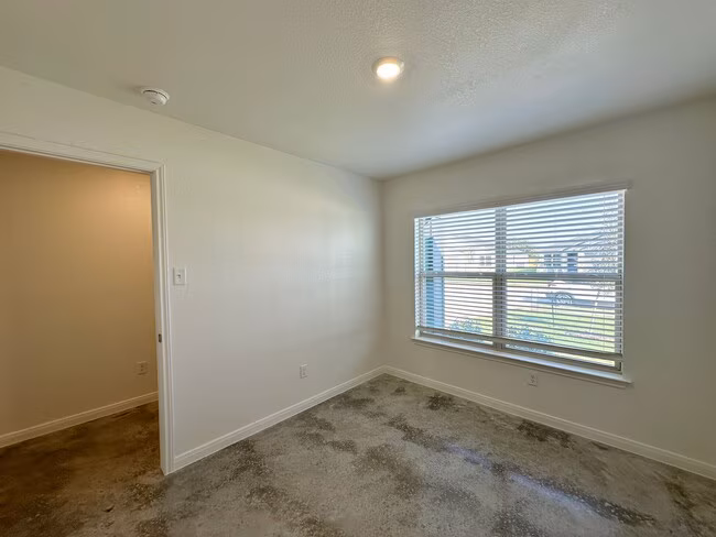 805 Wax Myrtle Killeen, TX 76543 photo 5