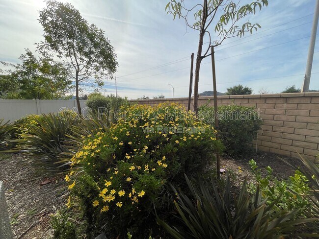 35124 Persano Pl Fallbrook, CA 92028 photo 5