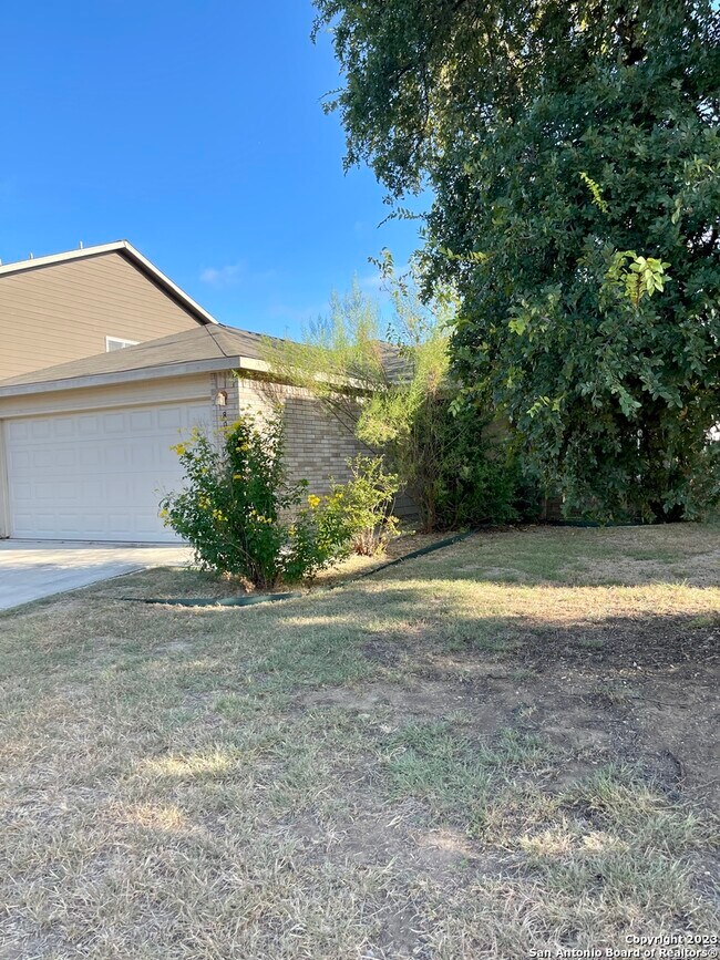 8007 Misty Bluff San Antonio, TX 78249 photo 2