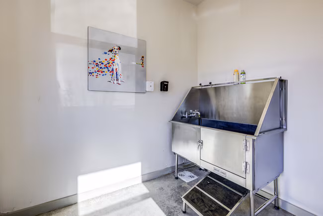 Terra Apartments photo 5