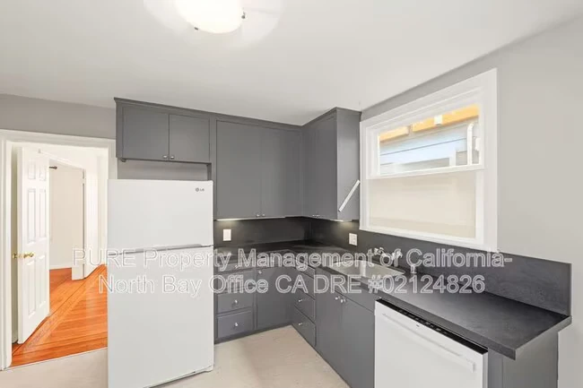 515 Eugenia Ave San Francisco, CA 94110 photo 5