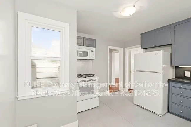 515 Eugenia Ave San Francisco, CA 94110 photo 4