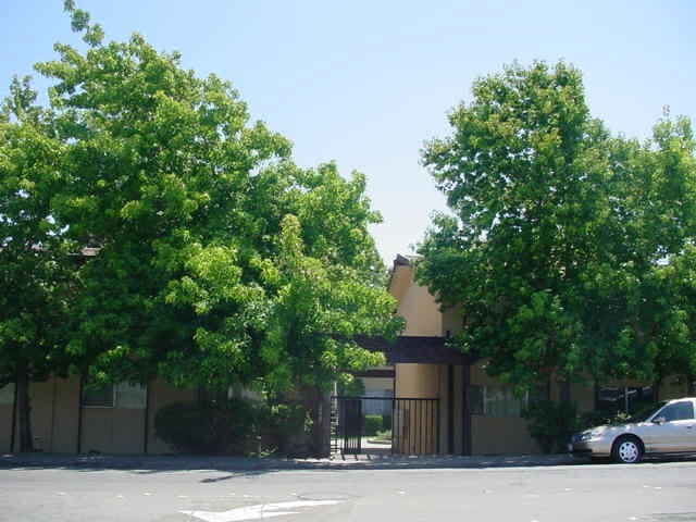 Church Lane Apartment Homes photo 3