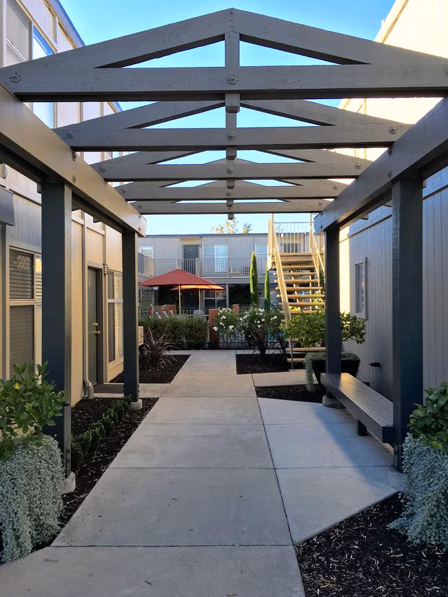 Olive Tree Apartments photo 3