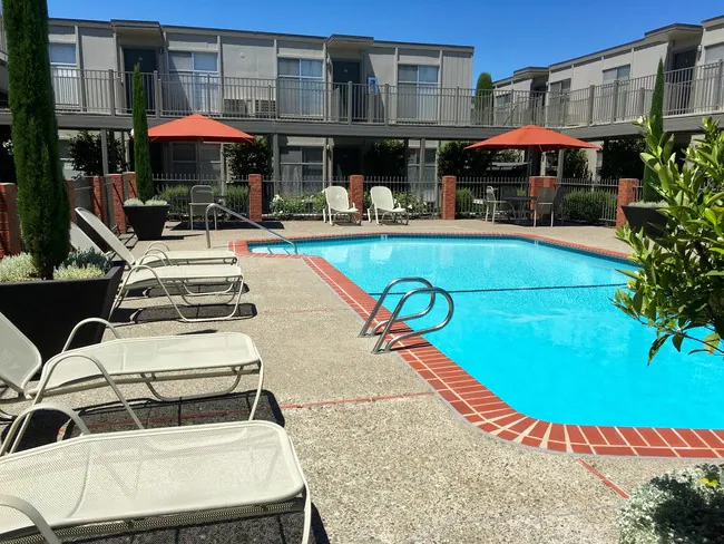 Olive Tree Apartments photo 2