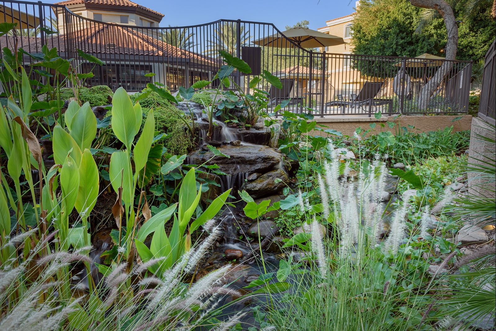 Regents at Scottsdale photo 2
