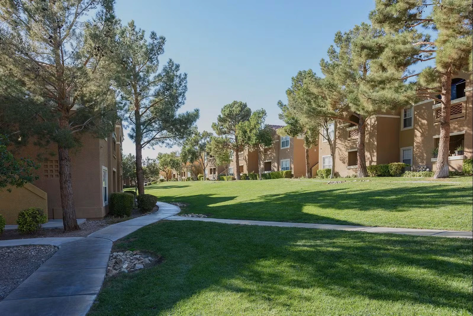 Shadow Hills at Lone Mountain photo 3