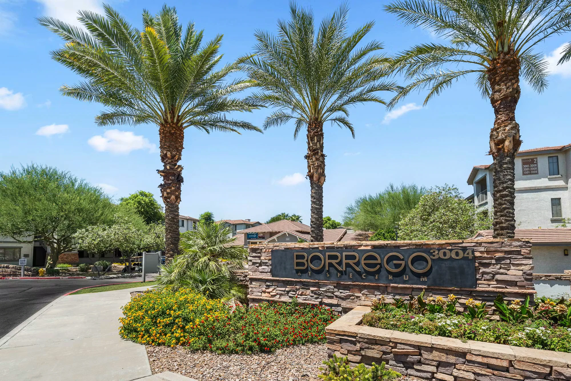 Borrego at Spectrum photo 3