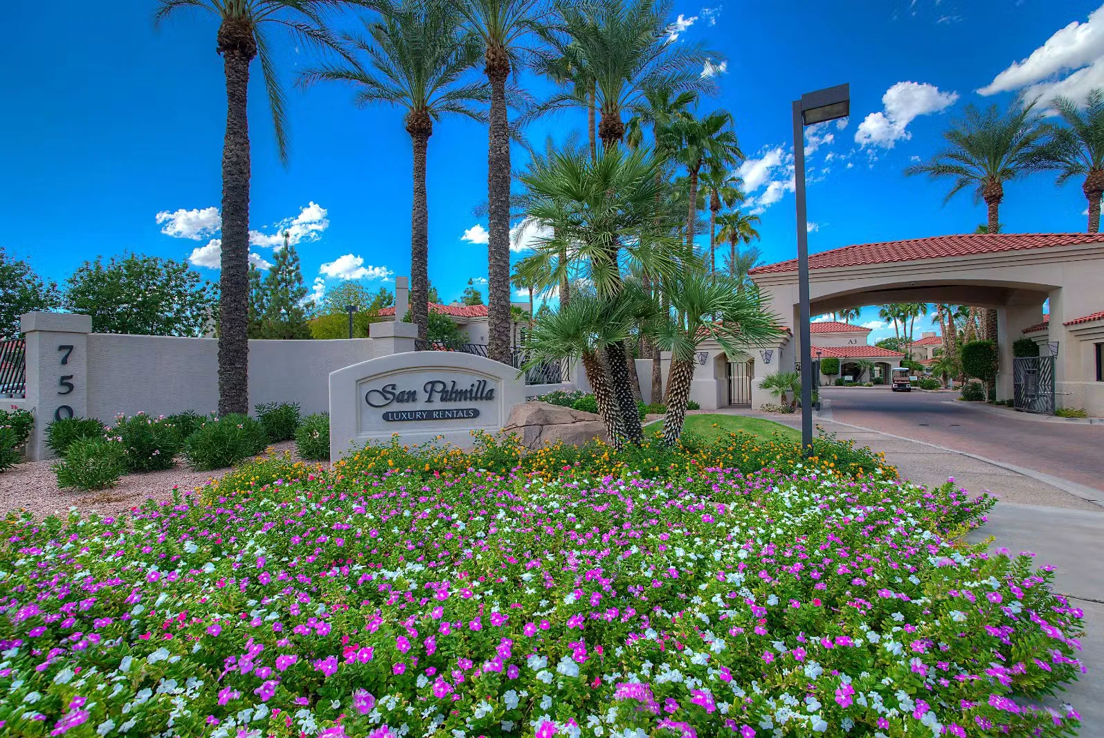 San Palmilla photo 4