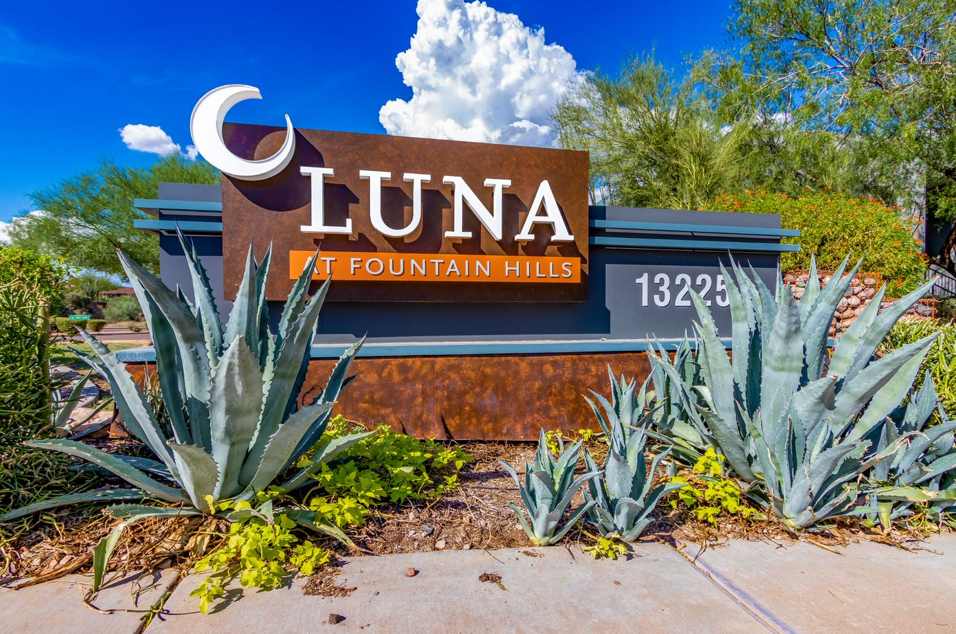Luna at Fountain Hills photo 4
