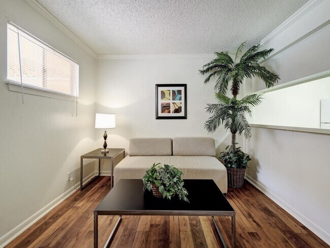 4553 Guadalupe St Austin, TX 78751 photo 4
