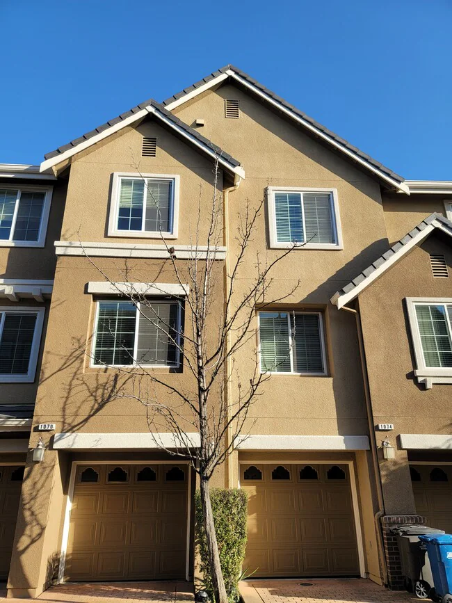 1070 Tourmaline Ter Union City, CA 94587 photo 3